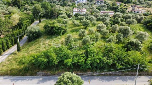 casa indipendente in vendita ad Ogliastro Cilento in zona Finocchito