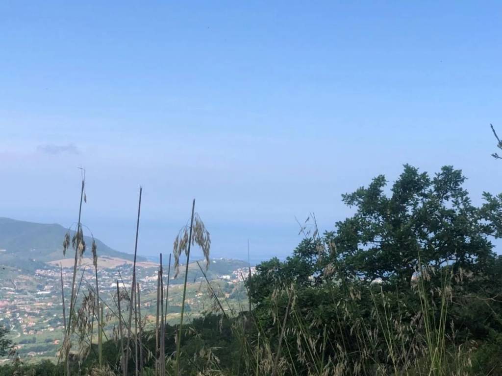 terreno agricolo in vendita ad Ogliastro Cilento in zona Eredita