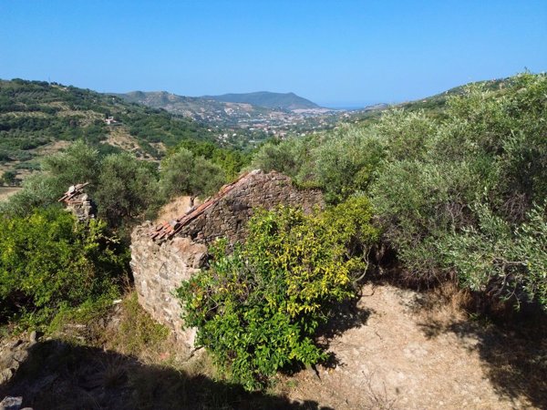 terreno edificabile in vendita ad Ogliastro Cilento in zona Finocchito