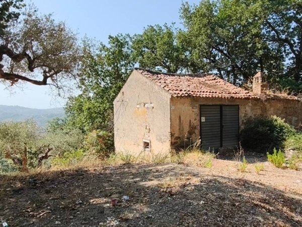 casa indipendente in vendita ad Ogliastro Cilento in zona Eredita