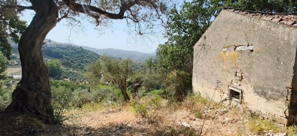 casa indipendente in vendita ad Ogliastro Cilento in zona Eredita