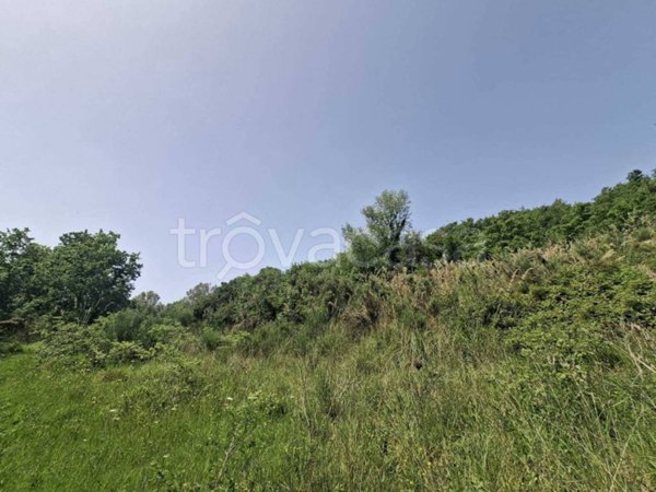 terreno agricolo in vendita ad Ogliastro Cilento in zona Finocchito
