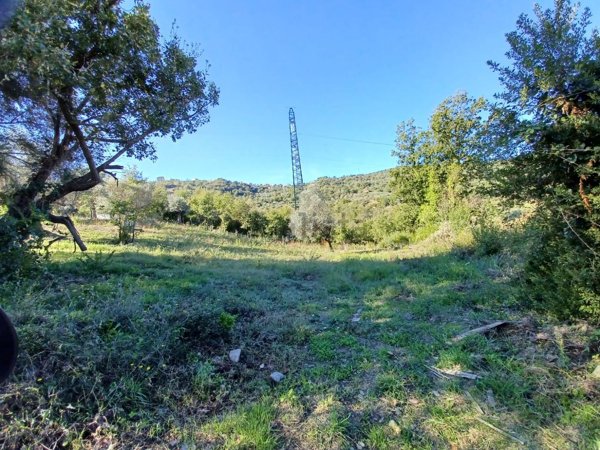 terreno agricolo in vendita ad Ogliastro Cilento in zona Finocchito