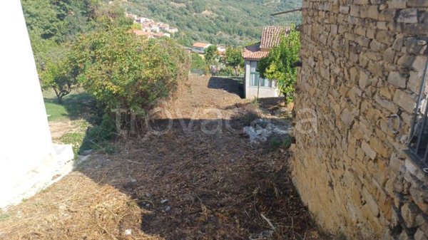terreno agricolo in vendita ad Ogliastro Cilento in zona Eredita