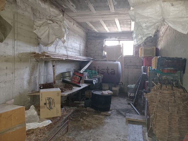 terreno in vendita ad Ogliastro Cilento in zona Finocchito