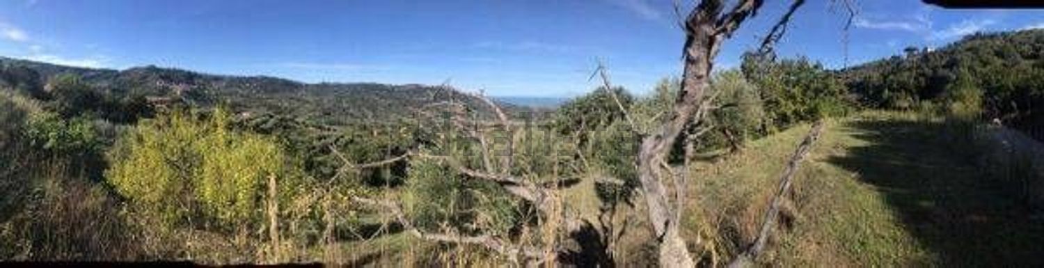 terreno in vendita ad Ogliastro Cilento in zona Finocchito