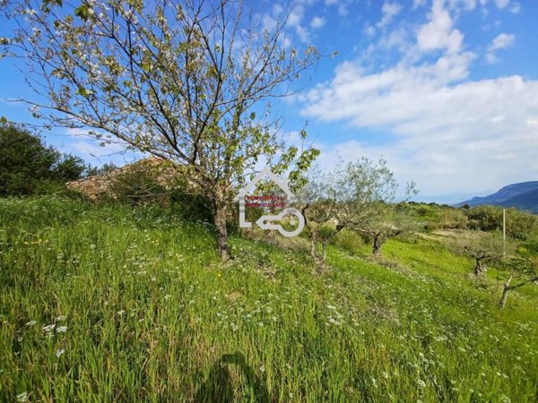 terreno in vendita ad Ogliastro Cilento in zona Finocchito