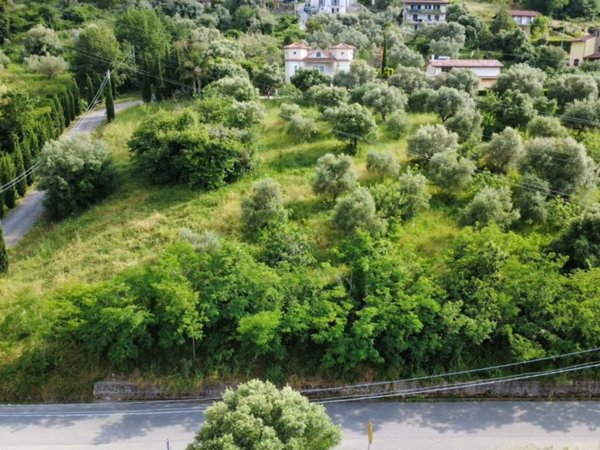 terreno agricolo in vendita ad Ogliastro Cilento in zona Finocchito