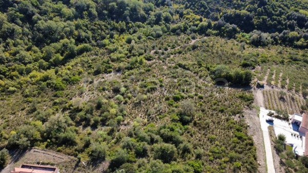 terreno agricolo in vendita ad Ogliastro Cilento in zona Finocchito