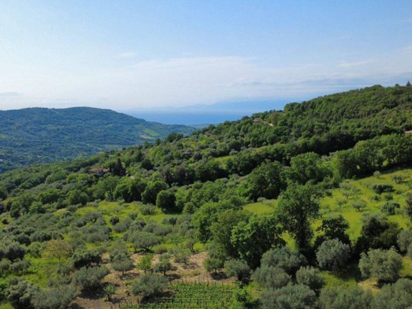 terreno agricolo in vendita ad Ogliastro Cilento in zona Finocchito