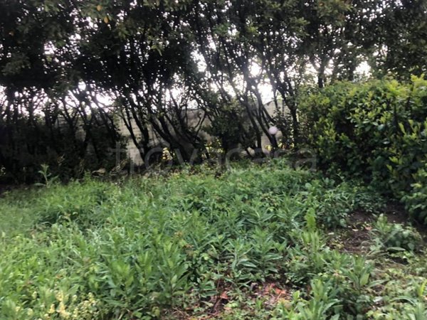casa indipendente in vendita ad Ogliastro Cilento in zona Eredita