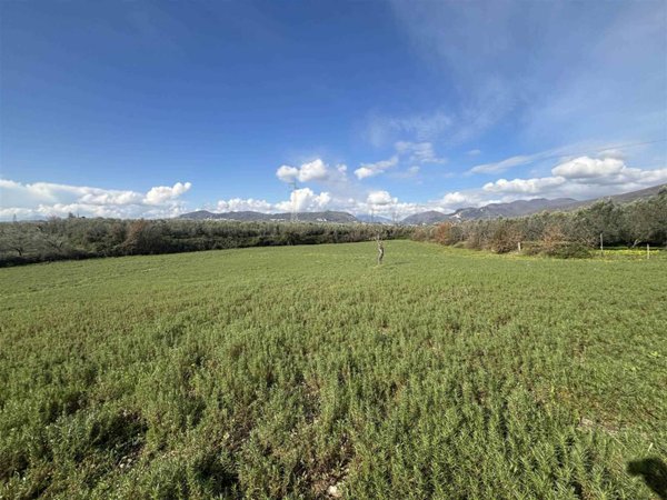 terreno agricolo in vendita ad Olevano sul Tusciano in zona Monticelli