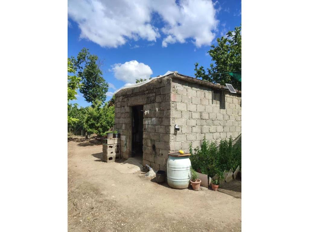 terreno agricolo in vendita ad Olevano sul Tusciano