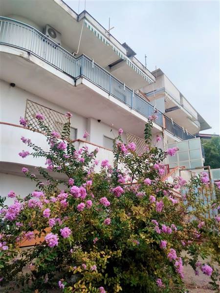 casa indipendente in vendita ad Olevano sul Tusciano