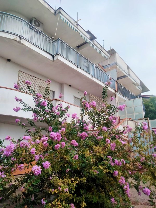 casa indipendente in vendita ad Olevano sul Tusciano