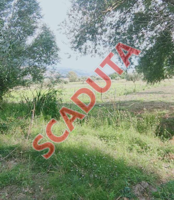 terreno agricolo in vendita ad Oliveto Citra