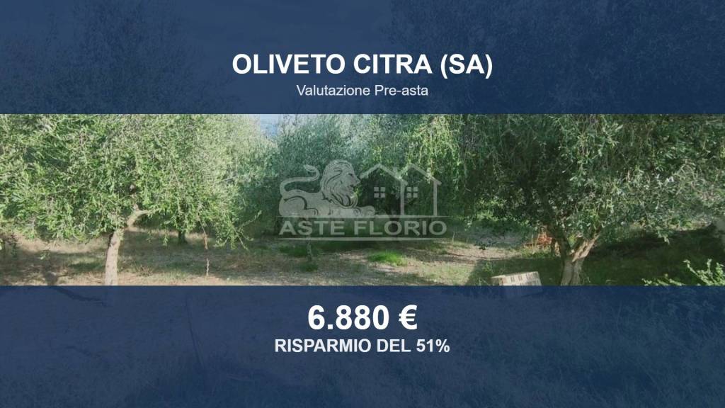 terreno agricolo in vendita ad Oliveto Citra