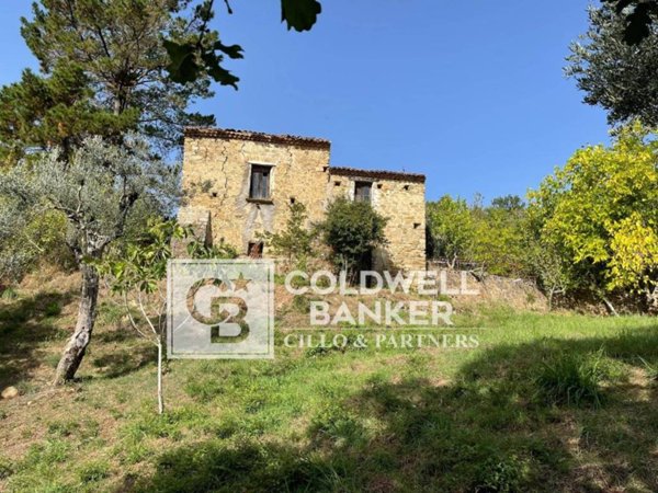 casa indipendente in vendita ad Omignano in zona Cerreta