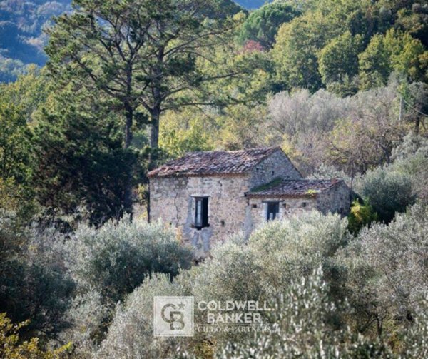 appartamento in vendita ad Omignano in zona Cerreta