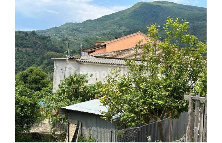 casa indipendente in vendita ad Omignano