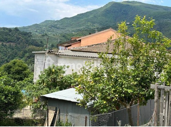 casa indipendente in vendita ad Omignano