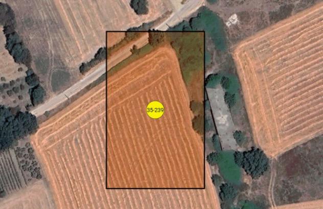 terreno agricolo in vendita a Padula