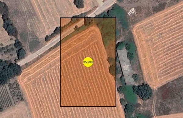 terreno agricolo in vendita a Padula