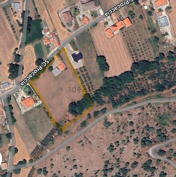 terreno agricolo in vendita a Padula