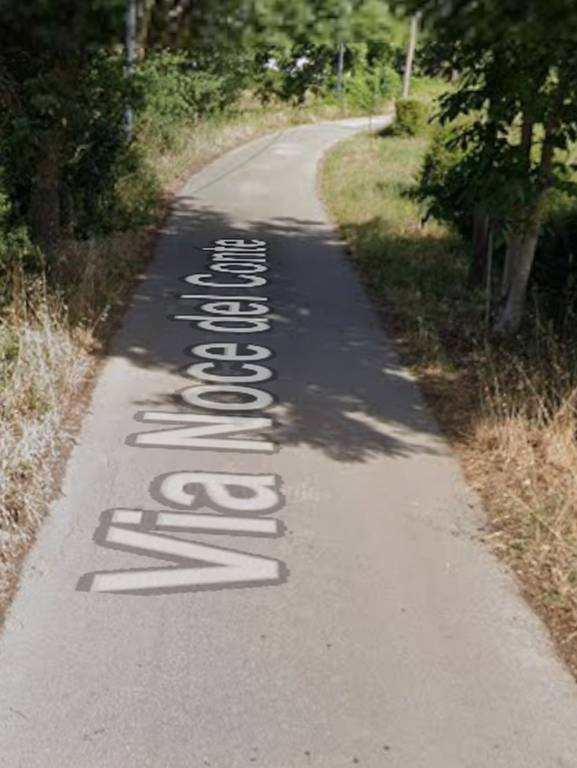 negozio in vendita a Padula