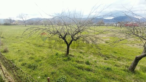 intera palazzina in vendita a Padula
