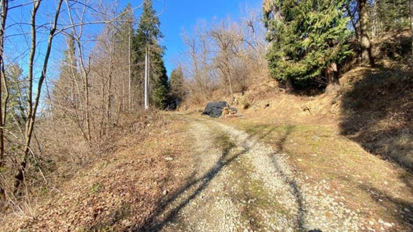 baita in vendita a Chiusa di Pesio