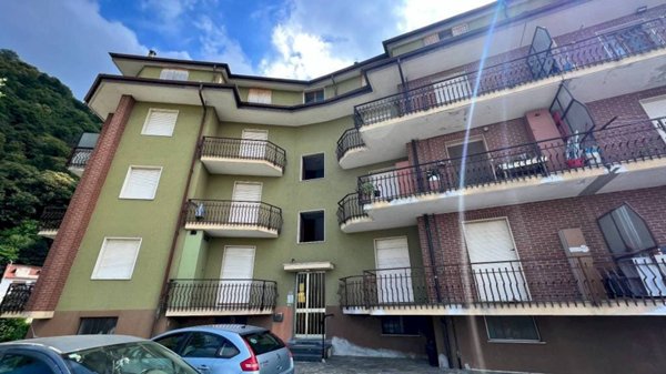 immagine annuncio 0 di 15