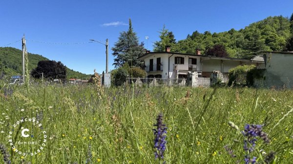 immagine annuncio 0 di 1