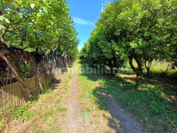 terreno agricolo in vendita a Pagani