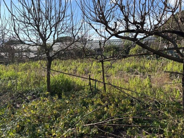terreno agricolo in vendita a Pagani