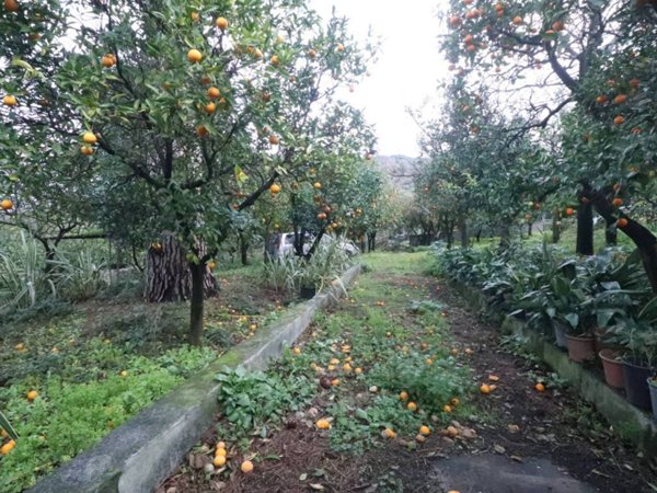 terreno agricolo in vendita a Pagani