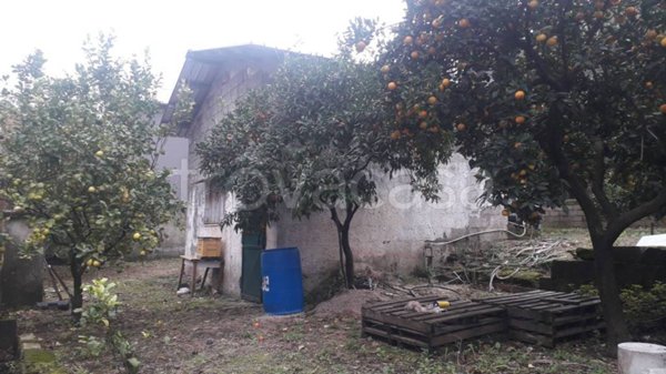 immagine annuncio 0 di 5