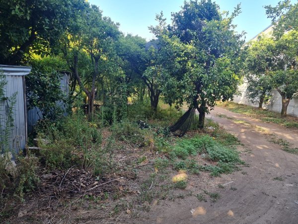 terreno agricolo in vendita a Pagani