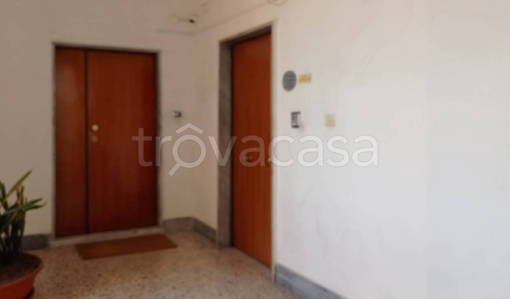 immagine annuncio 0 di 12