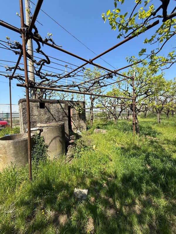 terreno agricolo in vendita a Pagani