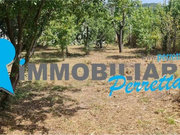 terreno agricolo in vendita a Palomonte