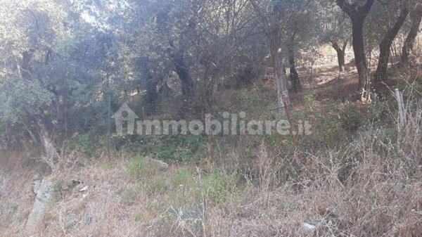 terreno agricolo in vendita a Pellezzano