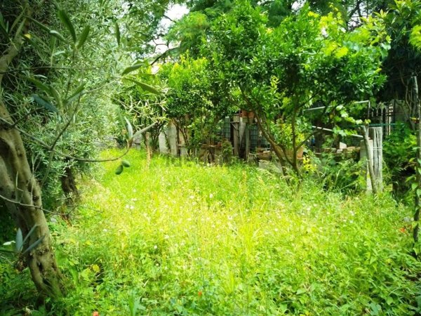 appartamento in vendita a Pellezzano in zona Cologna