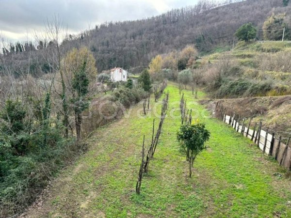 terreno agricolo in vendita a Pellezzano