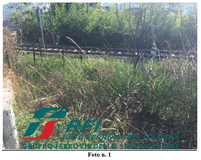 terreno agricolo in vendita a Pellezzano
