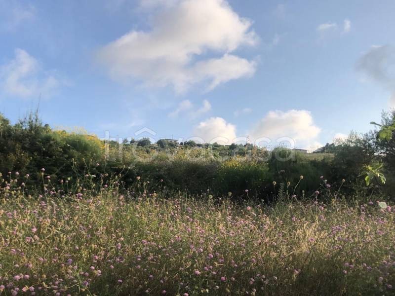 terreno agricolo in vendita a Perdifumo
