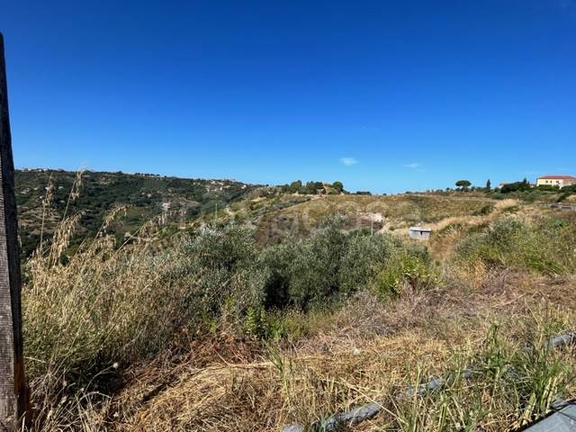 terreno agricolo in vendita a Perdifumo