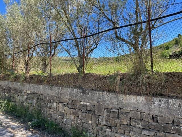 terreno agricolo in vendita a Perdifumo