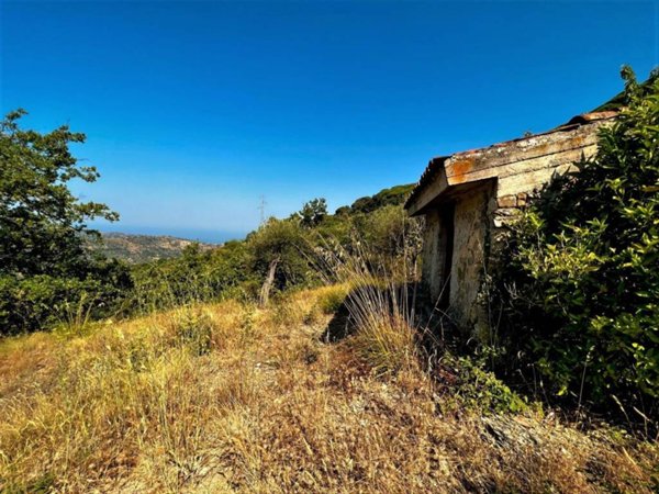 terreno agricolo in vendita a Perdifumo in zona Vatolla