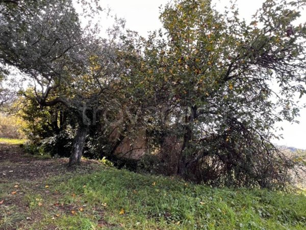 terreno agricolo in vendita a Perdifumo in zona Vatolla
